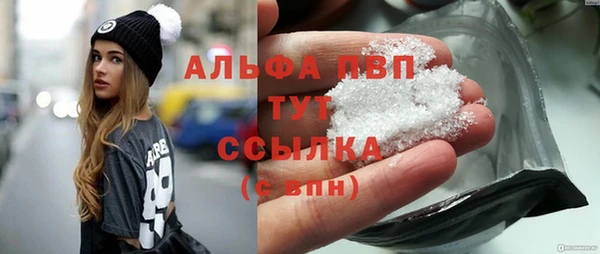 шишки Алзамай