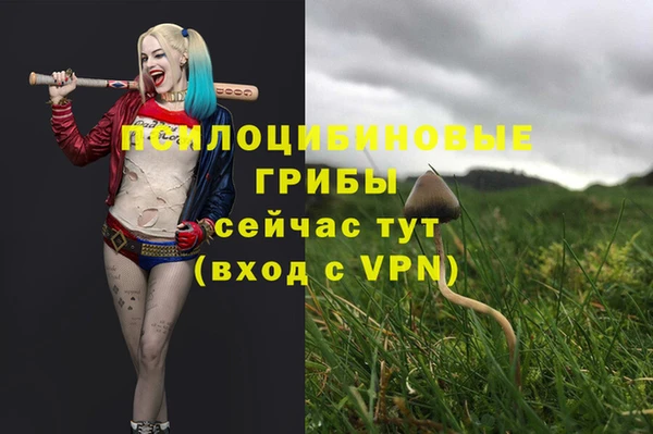 не бодяженный Абинск