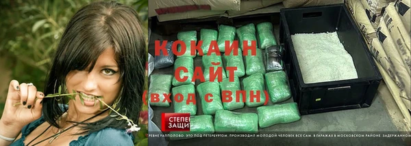 хмурый Алексин