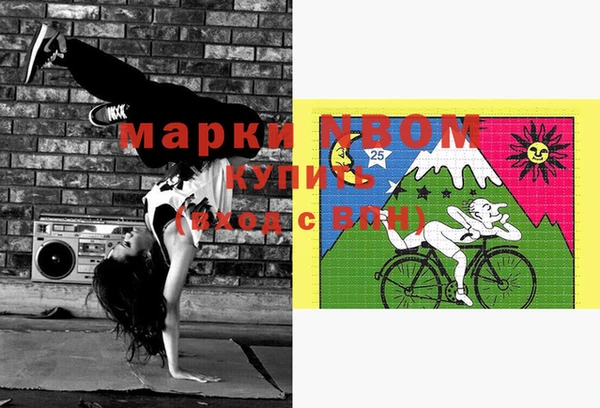 хмурый Алексин