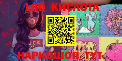 шишки Заволжье
