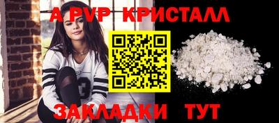 шишки Заволжье