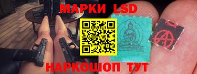 шишки Заволжье