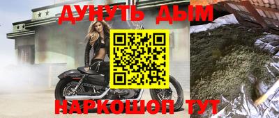 шишки Заволжье