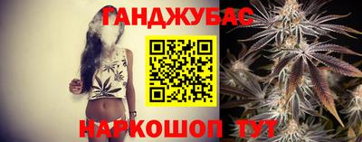 шишки Заволжье