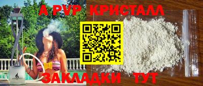 шишки Заволжье